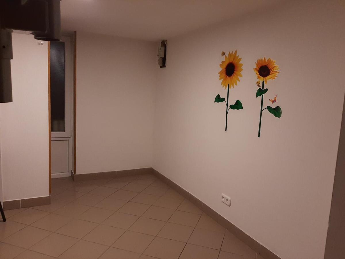 Apartman Vorosmarty Daire Budapeşte Dış mekan fotoğraf